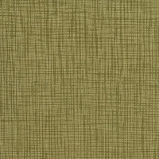  Esquire Warren Perennial