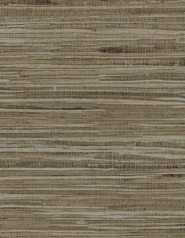 Featured Product Image