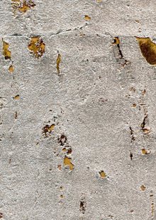 The Naturals Collection MNR1156