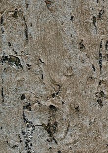 The Naturals Collection MNR1164