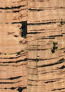 The Naturals Collection MNR1167