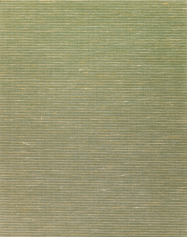 Textile Wallcovering Natural Silk II Astrid Texture Olive