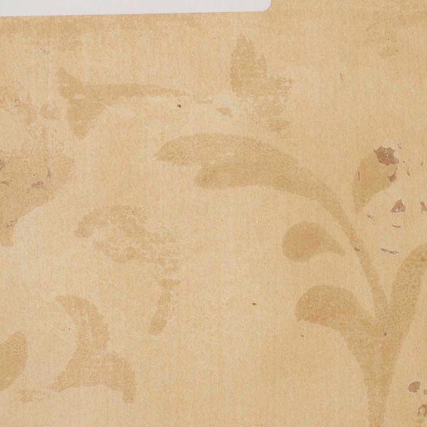 Specialty Wallcovering Opulence Augustine Amber