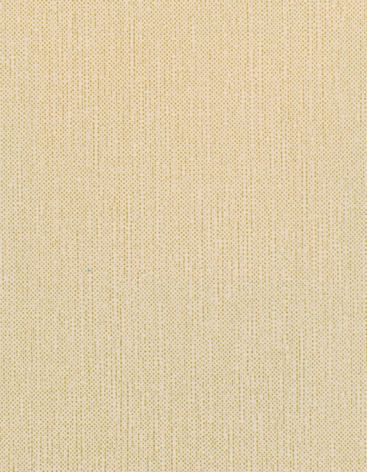  Esquire Pima Stellar