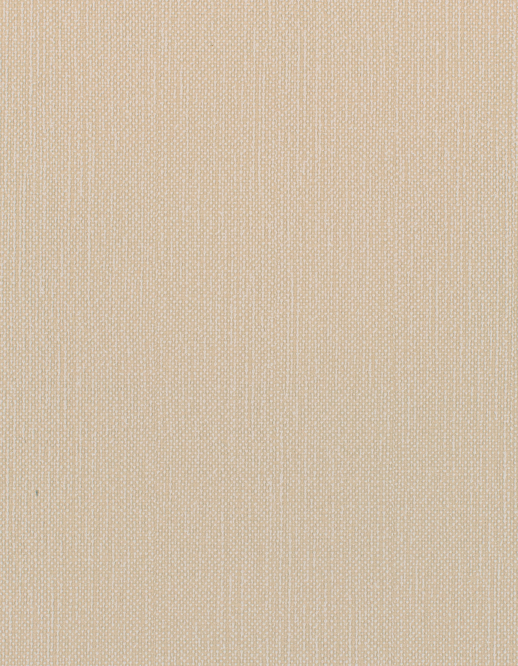  Esquire Pima Antique