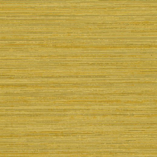  Esquire Pakhra Saree