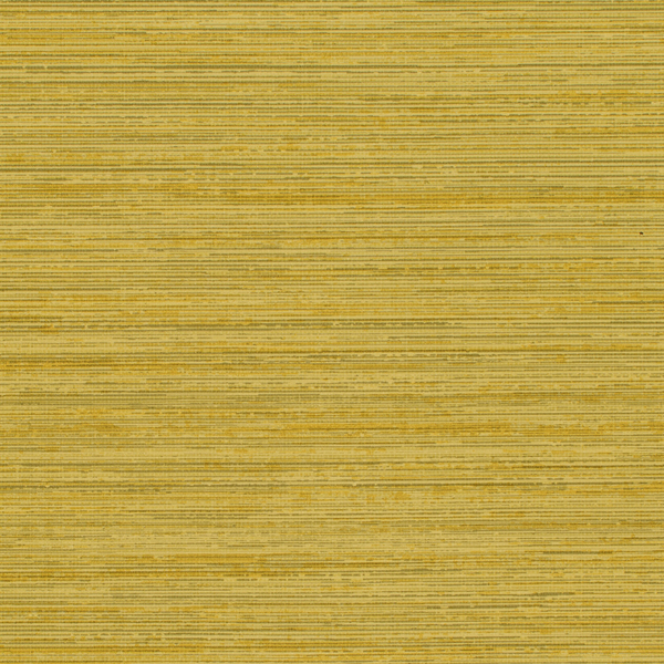 Featured Product Image