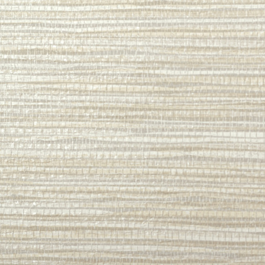  Esquire Palmetto Parchment