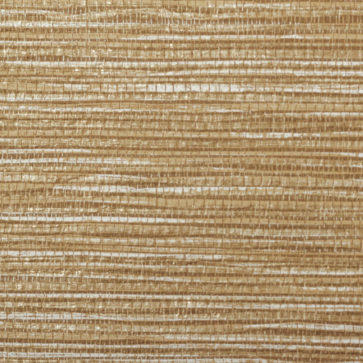  Esquire Palmetto Outerbanks