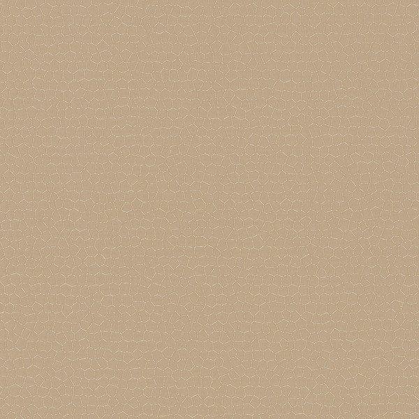 Featured Product Image