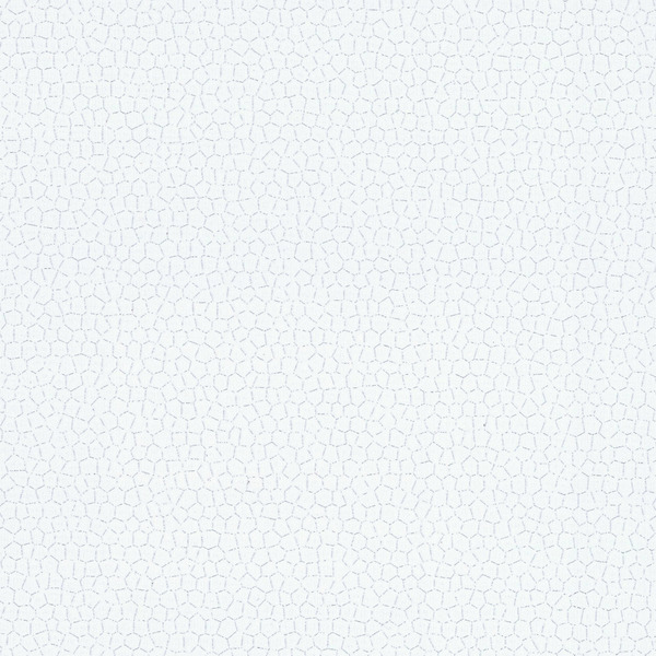 Featured Product Image