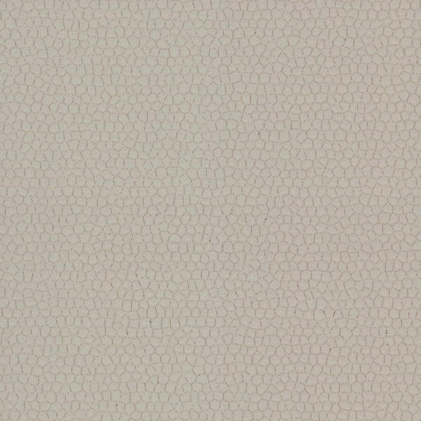 Featured Product Image