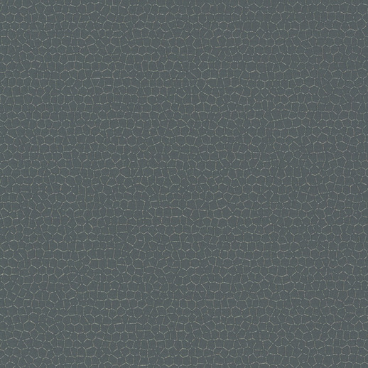  Restoration Elements Blacksmith Ink Press