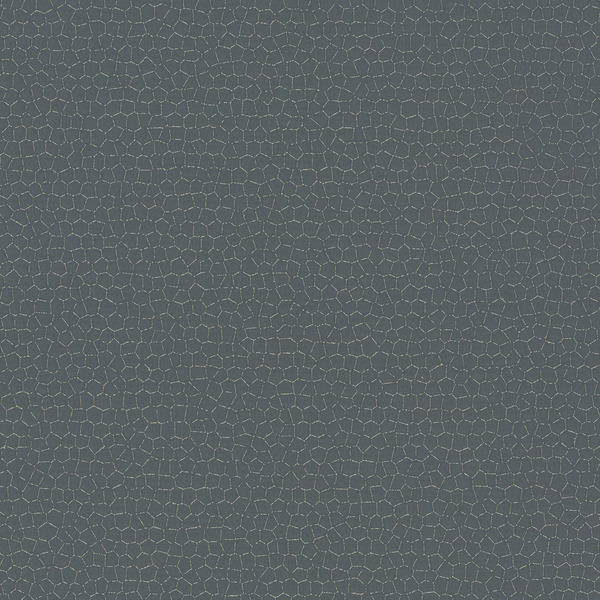 Featured Product Image