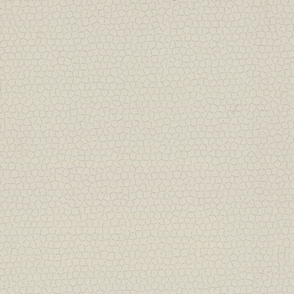 Featured Product Image