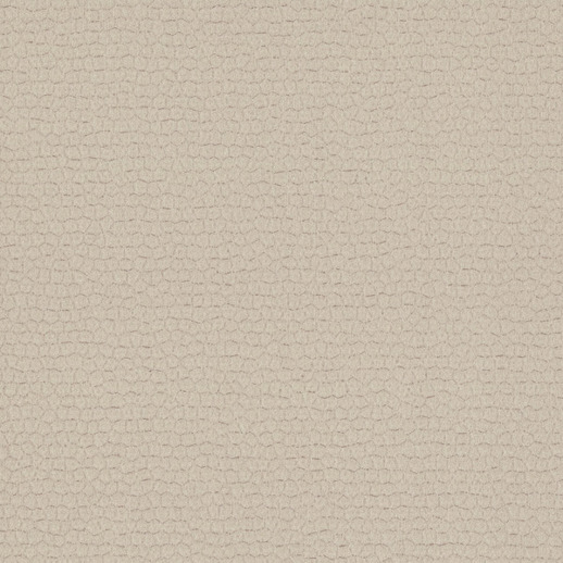  Restoration Elements Blacksmith Crystal Shore