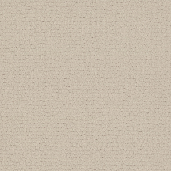 Featured Product Image