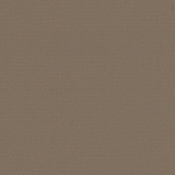 Featured Product Image