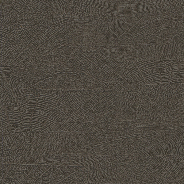 Featured Product Image