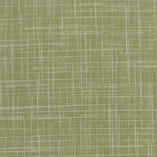  Esquire Seville Cactus