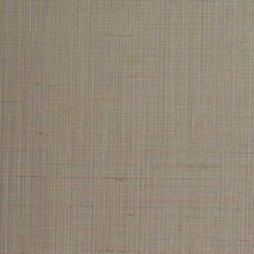  Esquire Snyder Paris Grey