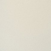 Paint & Finishes image