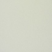 Paint & Finishes image