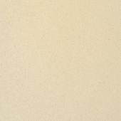 Paint & Finishes image