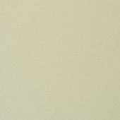 Paint & Finishes image