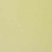 Paint & Finishes image