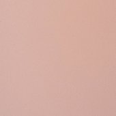 Paint & Finishes image