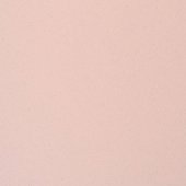 Paint & Finishes image