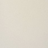 Paint & Finishes image
