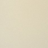 Paint & Finishes image