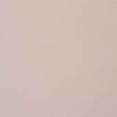 Paint & Finishes image