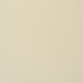 Paint & Finishes image