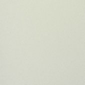 Paint & Finishes image