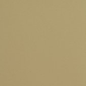 Paint & Finishes image