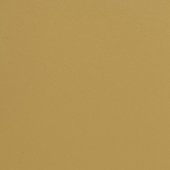 Paint & Finishes image