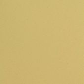 Paint & Finishes image