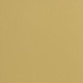 Paint & Finishes image