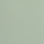 Paint & Finishes image