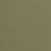 Paint & Finishes image