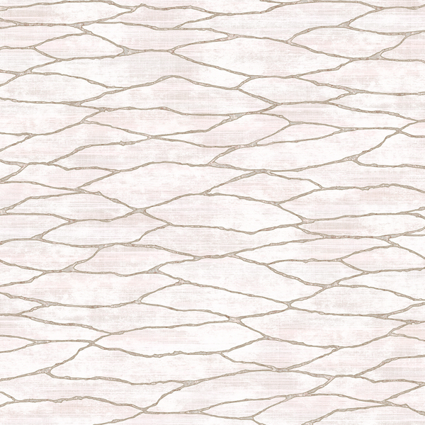 Featured Product Image