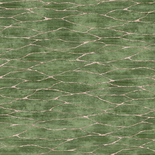 Featured Product Image