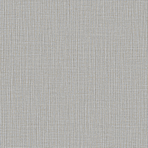  Esquire Tottenham Athleisure