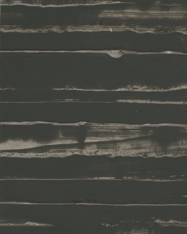 Specialty Wallcovering Specialty Wallcoverings Denevan Eel