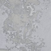 MUE1875 Sample