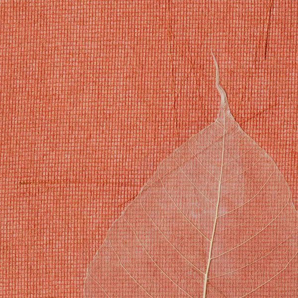 Specialty Wallcovering Averlino Tamboli Leaf Geranium