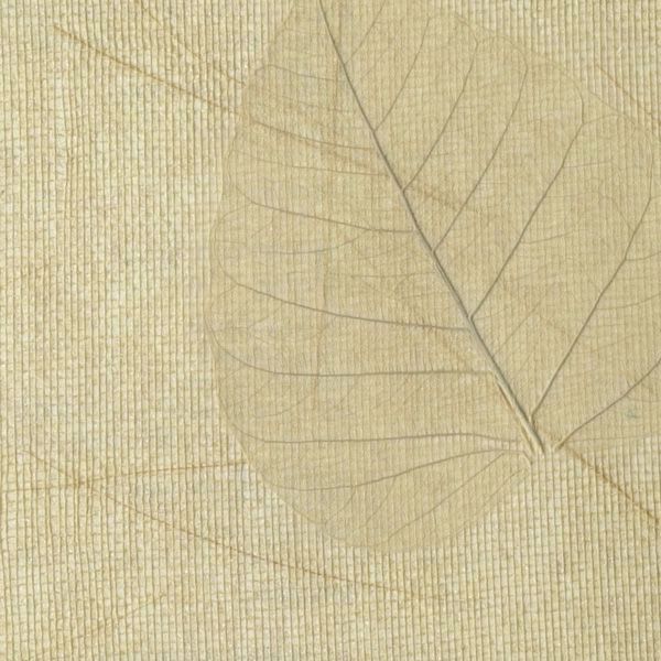 Specialty Wallcovering Averlino Tamboli Leaf Thrush